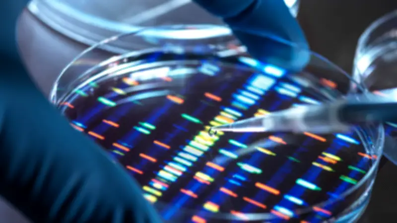 25 Jahre nach dem Genom-Durchbruch: Warum die Genetik noch viele Rätsel birgt