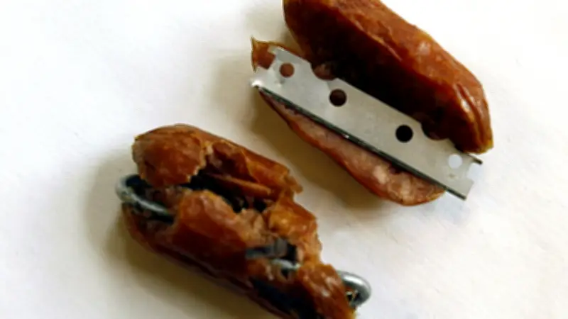 500 Euro Belohnung für Hinweise zu präparierten Ködern in Hagenow ausgesetzt