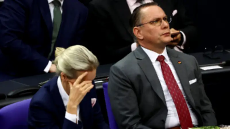 AfD in der Filz-Affäre: Weidel fordert Rücktritte, Baumann offen für Sonderermittler