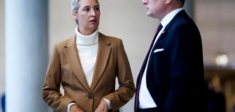 AfD in der Krise: Vetternwirtschaft-Skandal belastet Parteiführung