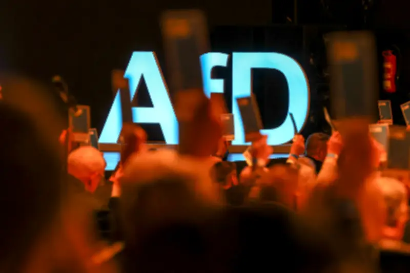 AfD in Sachsen-Anhalt: Basis fordert Sonderparteitag wegen Vetternwirtschaftsvorwürfen