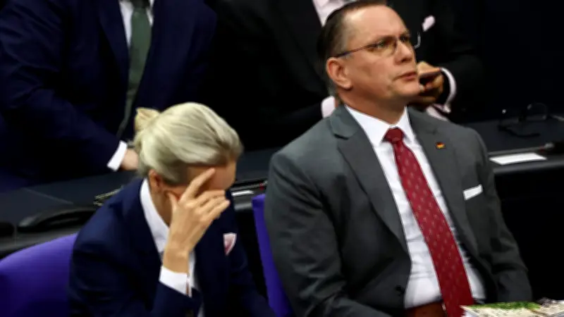 AfD in Sachsen-Anhalt: Mitglieder fordern Sonderparteitag wegen Filz-Vorwürfen