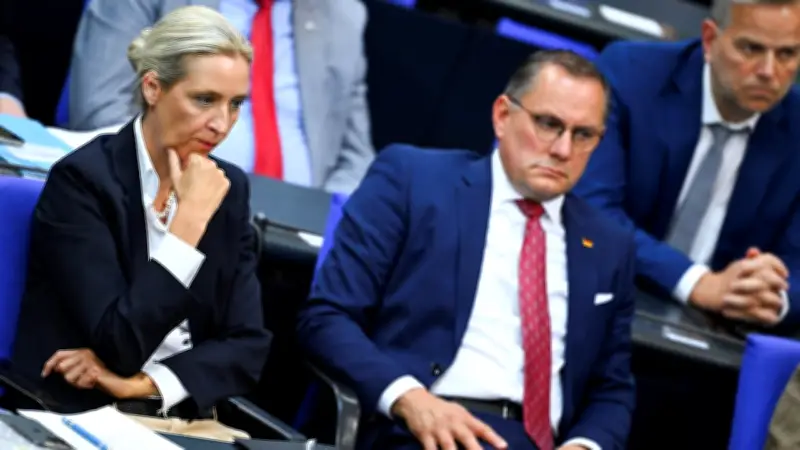 AfD-Vorstand in Telefonkrisenkonferenz: Filz-Vorwürfe erschüttern die Partei