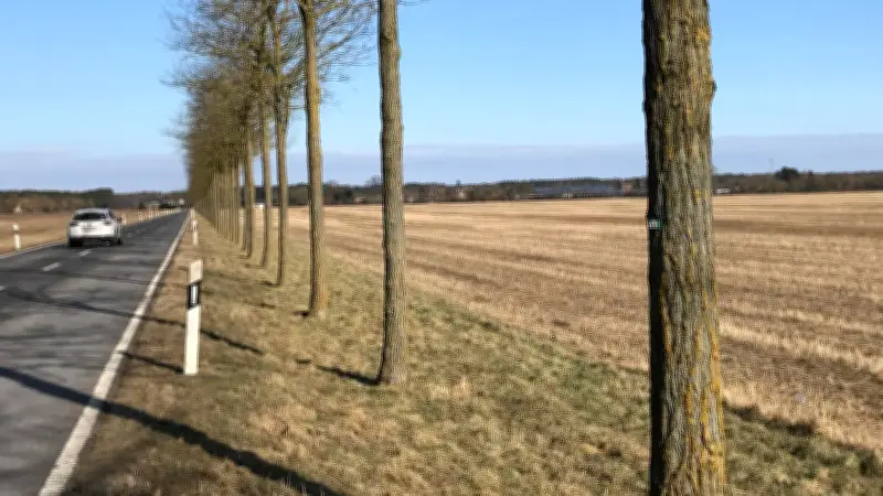 Agro-Solarpark bei Meiersberg: Gemeindeentscheidung über 47-Hektar-Projekt steht bevor