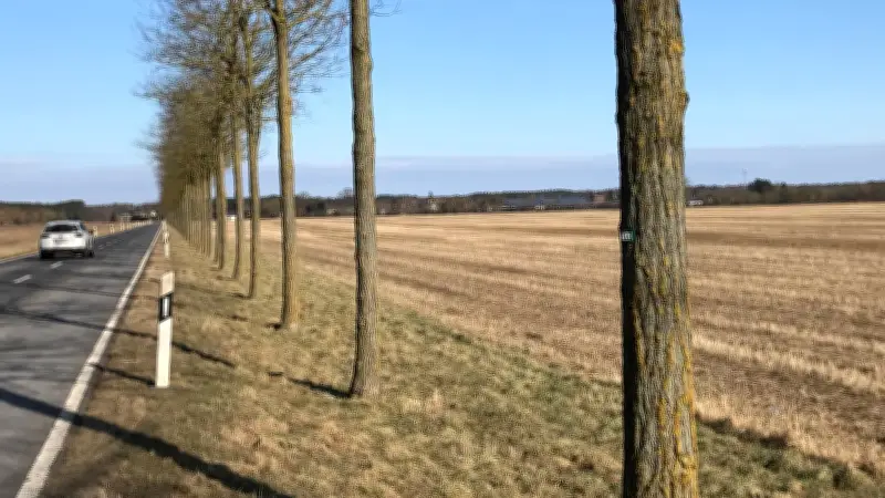 Agro-Solarpark bei Meiersberg: Gemeindevertretung entscheidet über 47-Hektar-Projekt