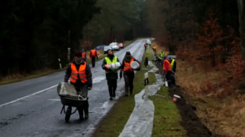 Amphibienschutz in der Uckermark: Freiwillige für Zaunbau an der Lychener Chaussee gesucht