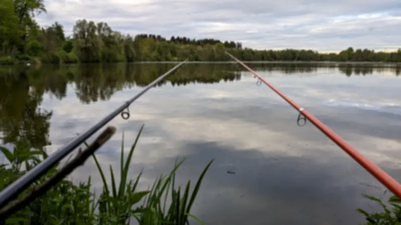 Angeln in Ost und West: Studie zeigt kulturelle Unterschiede beim Fischfang