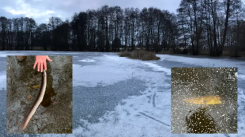 Angler in Ueckermünde retten Fische mit Motorsägen-Einsatz bei Sauerstoffmangel