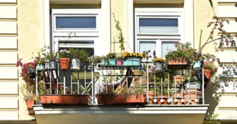 Balkon-Frühjahrsputz in München: Was im März schon wächst und was erlaubt ist