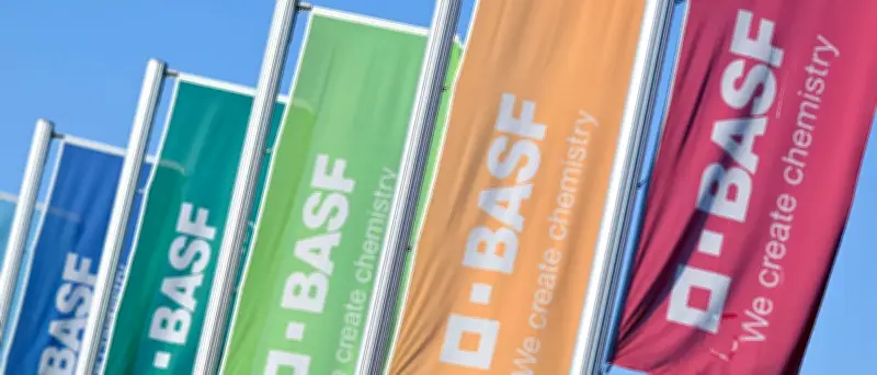 BASF plant globalen Dienstleistungs-Hub in Indien: Kritik an Strategie