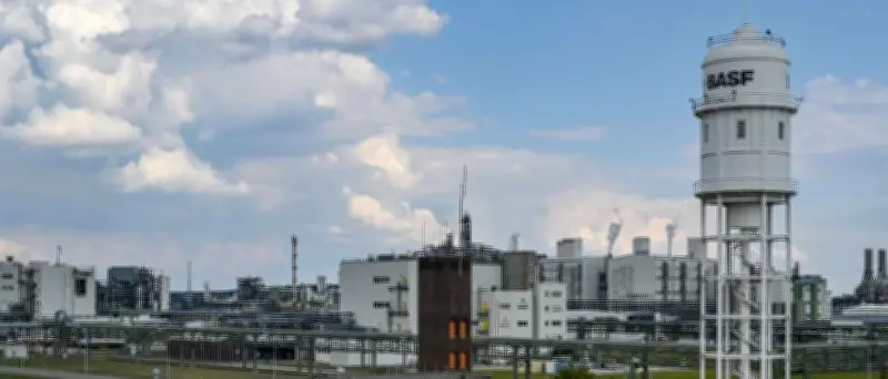 BASF-Verlagerungspläne nach Indien: Über 4000 Arbeitsplätze in Berlin und Brandenburg bedroht