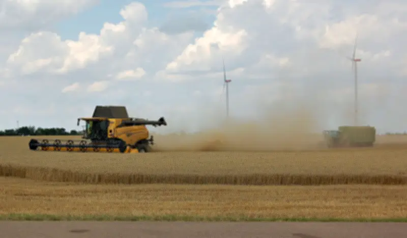 Bauern im Burgenlandkreis: Gute Ernte bei niedrigen Preisen und Kritik an Gewerbegebiet