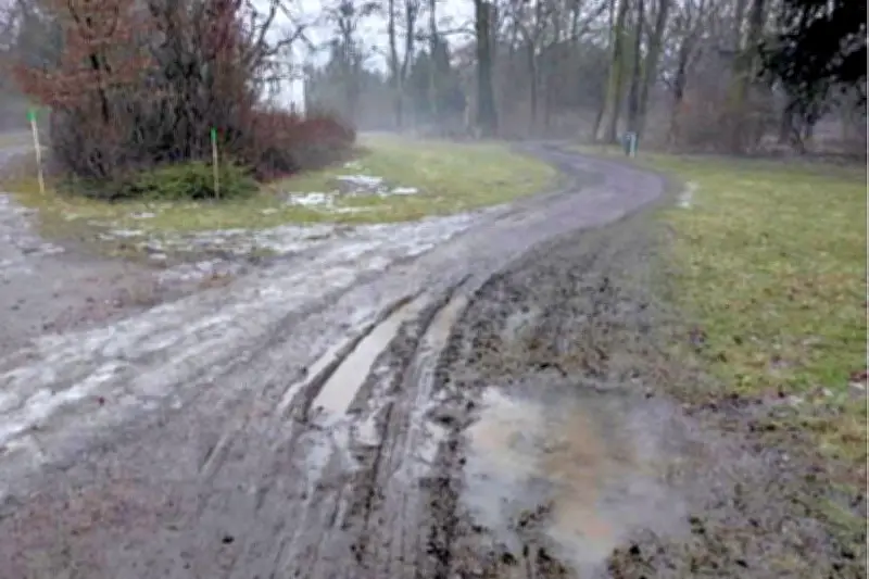 Baumarbeiten im Dessauer Georgengarten hinterlassen Kraterlandschaft - Stadtverwaltung in der Kritik