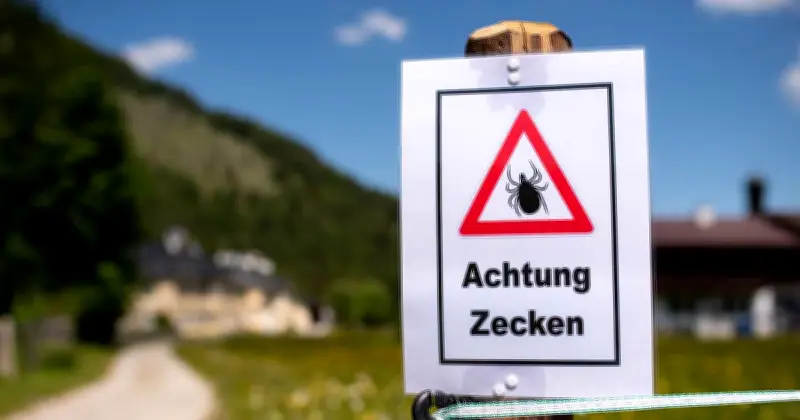 Bayern bleibt fast flächendeckend FSME-Risikogebiet – Impfung dringend empfohlen