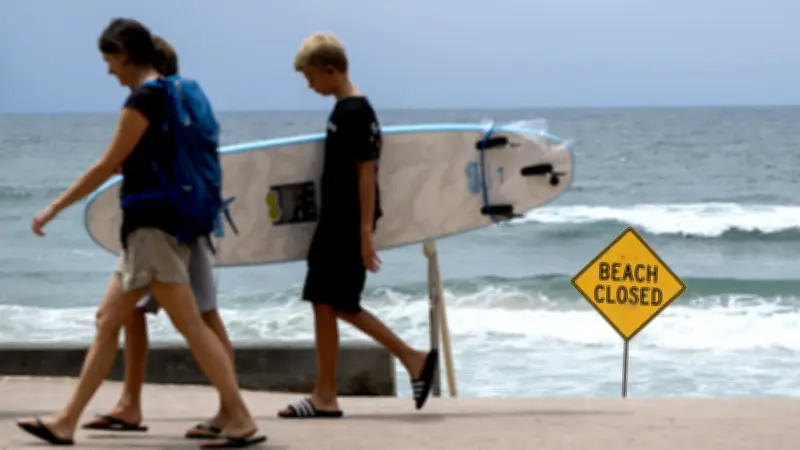 Bericht zu Hai-Angriffen: 65 unprovozierte Vorfälle weltweit im Jahr 2025 dokumentiert