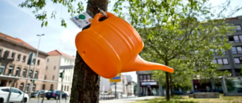 Berlin-Pankow erhält 154 neue Bäume: Stadtbaumkampagne startet im Frühjahr