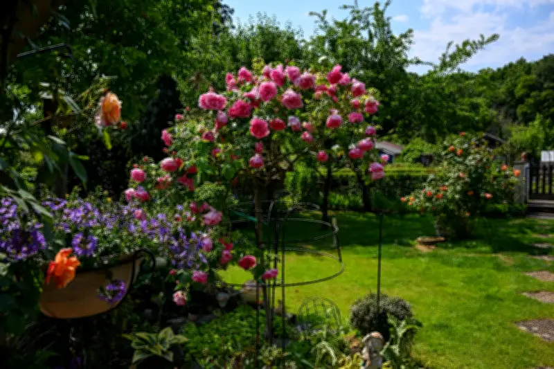 Berlin schützt Kleingärten: Neues Gesetz sichert grüne Oasen dauerhaft