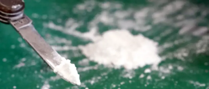 Berliner Bande schmuggelte 30 Kilo Kokain in Sahnetorten nach Prag