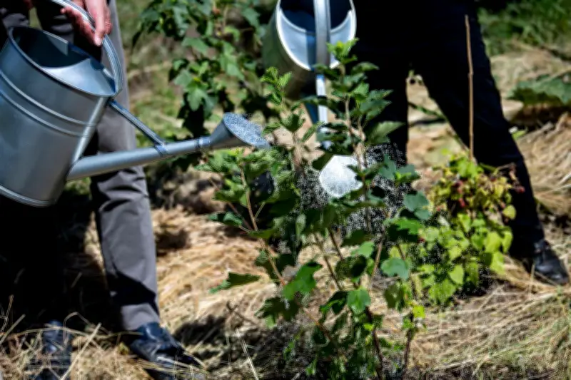 Berliner Kleingartengesetz sichert 80 Prozent der Flächen - Verband sieht Meilenstein