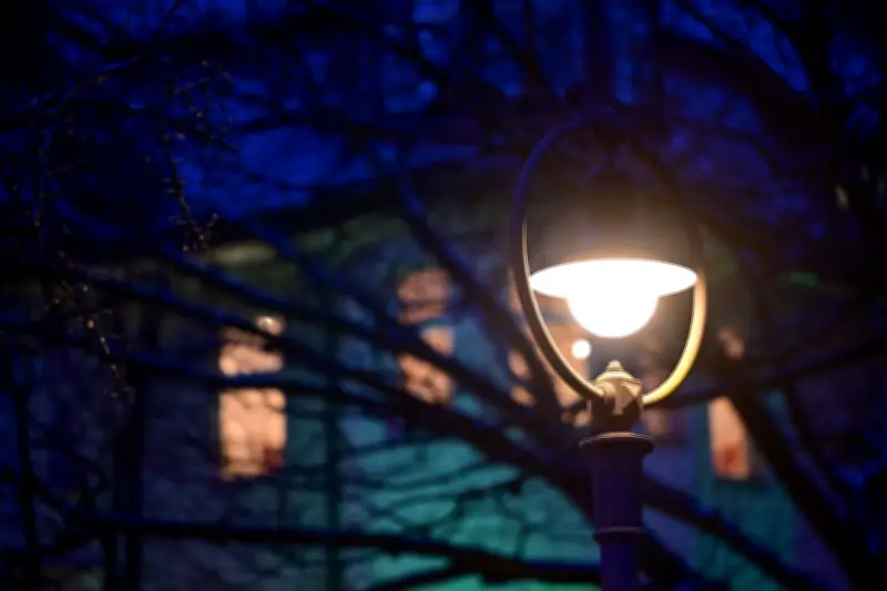 Berliner Senat plant mehr Videokontrollen an Stromleitungen nach Stromausfall