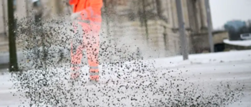 Berliner Winterdienst: CDU und SPD fordern strengere Kontrollen der Räumpflicht