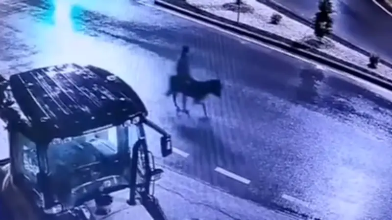 Überwachungsvideo zeigt: Gabelstapler-Einbrecher flüchtet nach Juwelier-Raub auf Esel