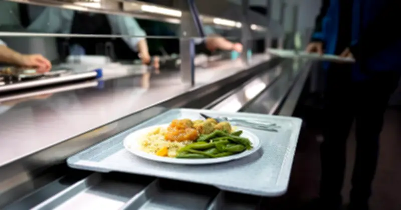 Besteck-Schwund in Bayerns Mensen: Diebstahl, Bruch und Bequemlichkeit als Kostenfaktor