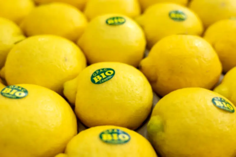 Bio-Boom in Deutschland: Nachfrage übertrifft Anbaufläche deutlich