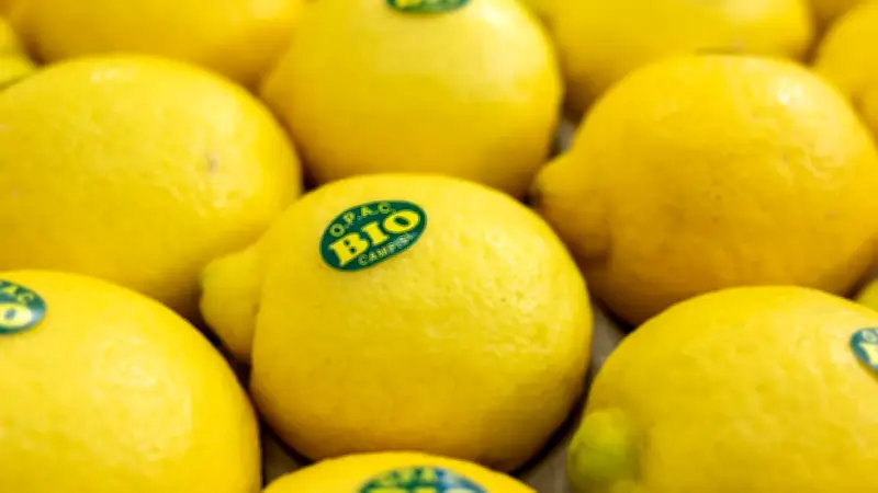 Bio-Boom in Deutschland: Nachfrage steigt rasant, Anbauflächen wachsen nur langsam