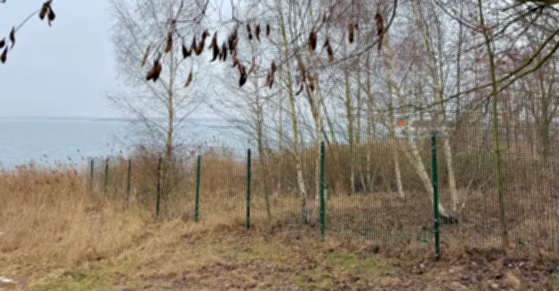 Bitterfeld-Wolfen: Empörung über geplante Ferienhäuser am Goitzsche-See-Ufer