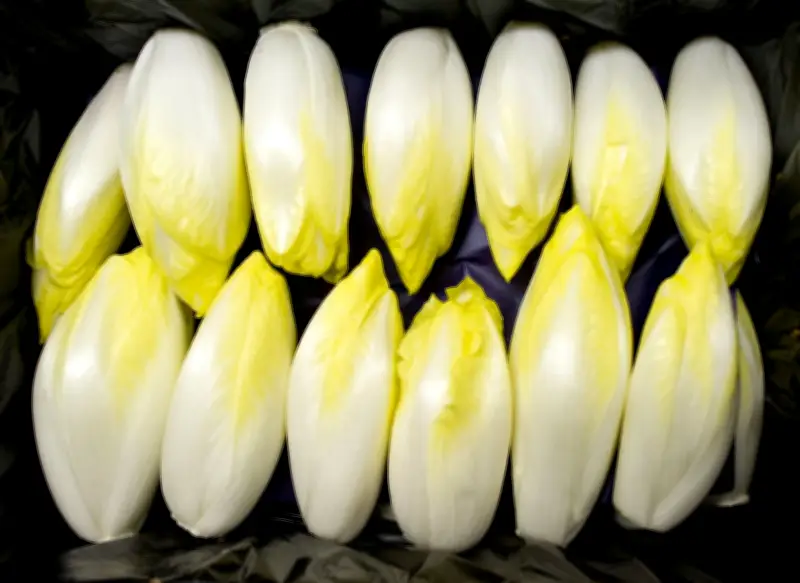 Bitterstoffe genießen: So mildern Sie den Geschmack von Chicorée und anderen Gemüsesorten