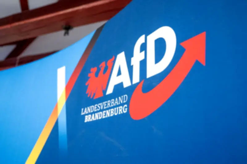 Brandenburgs AfD-Chef lehnt strengere Regeln gegen Vetternwirtschaftsvorwürfe ab