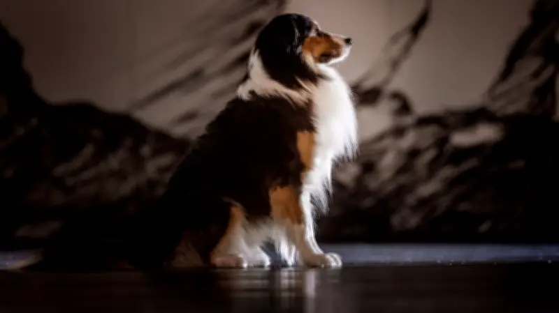 Captain Spock stiehlt Astronauten die Show in Peschels Schweriner Trilogie-Finale