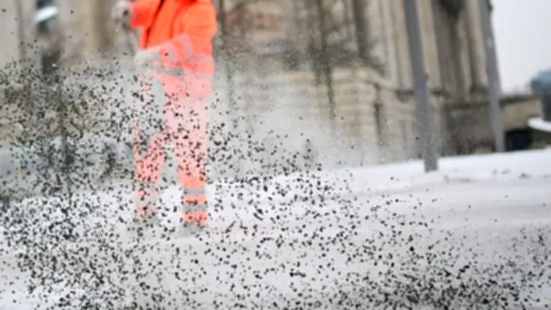 CDU und SPD fordern strengere Kontrollen und einheitliche Standards für Berlins Winterdienst