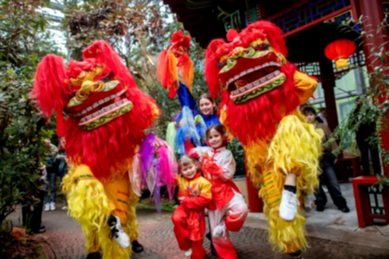 Chinesisches Neujahrsfest in der Bremer Botanika: Vom Holzschlangen- zum Feuerpferdejahr