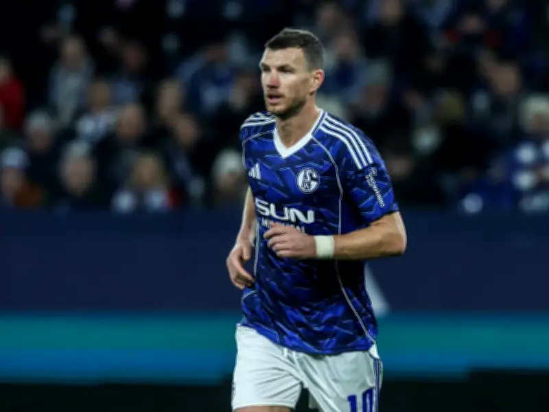 Demirovic wird zum Schalke-Fan: VfB-Star verehrt Idol Edin Dzeko in der 2. Liga