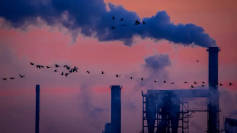 DIW-Präsident Fratzscher warnt: Deutschlands Wachstumsmotor springt nie wieder an