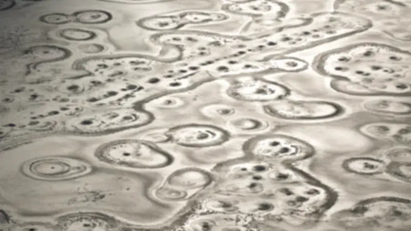 Drama am Baggersee: Paar bricht ins Eis ein und rettet sich auf Insel