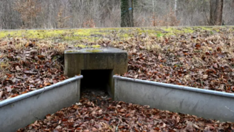 Drei Monate Vermisstenfall gelöst: Leiche in Kröten-Tunnel entdeckt – Prozess beginnt