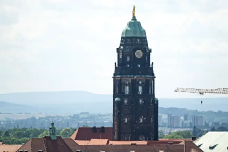 Dresdner Rathausturm öffnet dauerhaft: Wanderfalken bestimmen Starttermin