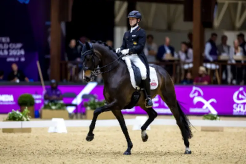 Dressur-Weltcup in Neumünster: Deutsche Reiter verpassen das Podium komplett