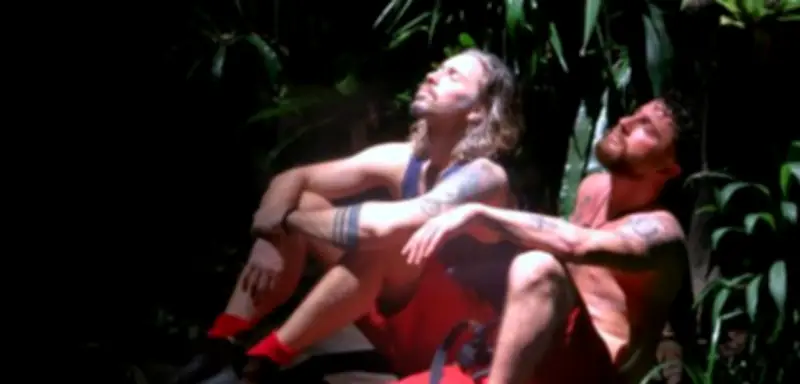 Dschungelcamp-Wiedersehen bei RTL: Trächtige Kuh überstrahlt Ex-König Bauer Patrick