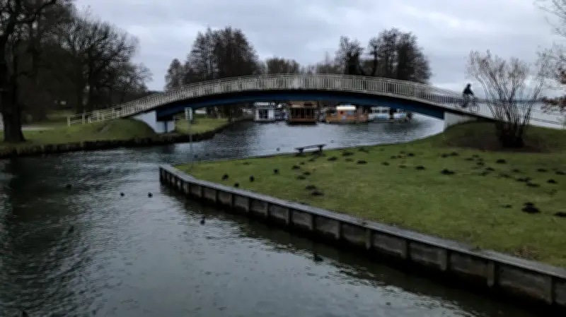 Dutzende tote Vögel im Eis bei Neubrandenburg: Stadt muss auf Tauwetter warten