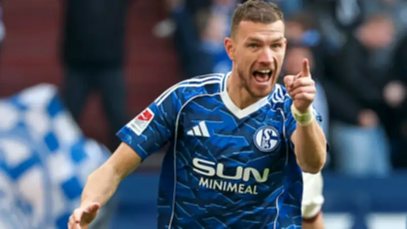 Edin Dzeko bei Schalke: Unfair-Diskussion um den überragenden Zweitliga-Stürmer
