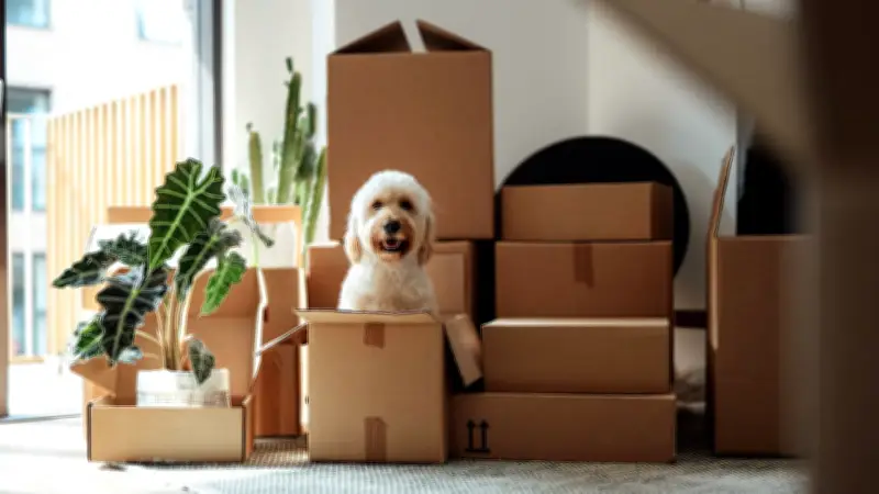 Eigenbedarfs-Kündigung: So entlarven Mieter eine vorgeschobene Begründung