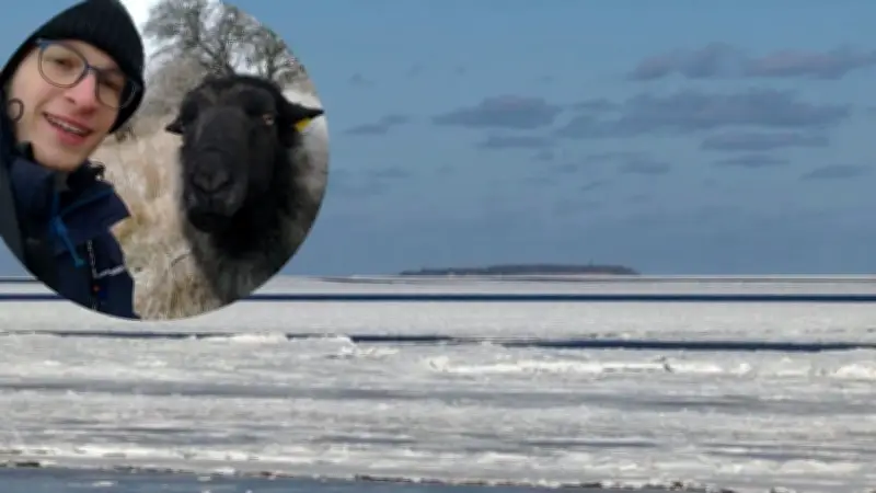Eingeschlossen im Eis: Drei Naturschützer festsitzen auf Greifswalder Oie