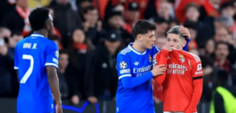 Eklat bei Champions League: Rassismus-Vorwürfe gegen Benfica-Spieler nach Vinicius-Beleidigung