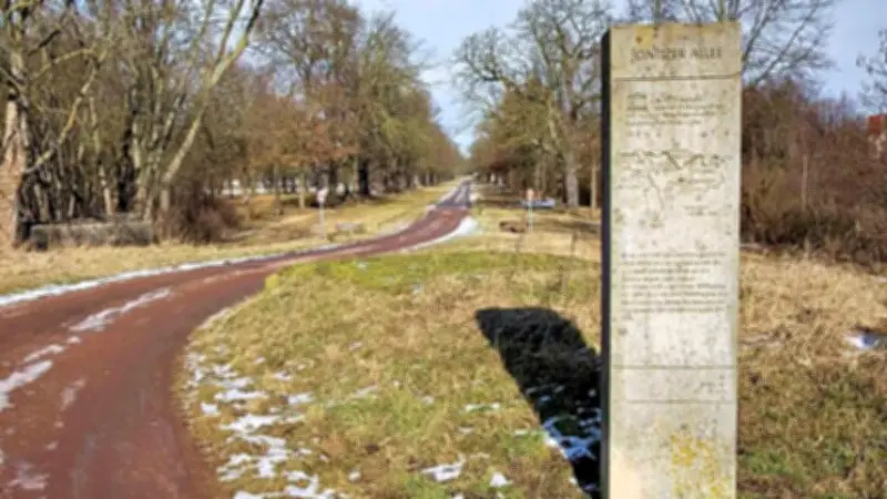 Elberadweg in Dessau: Dringende Sanierung der Jonitzer Allee für Buga 2035 geplant