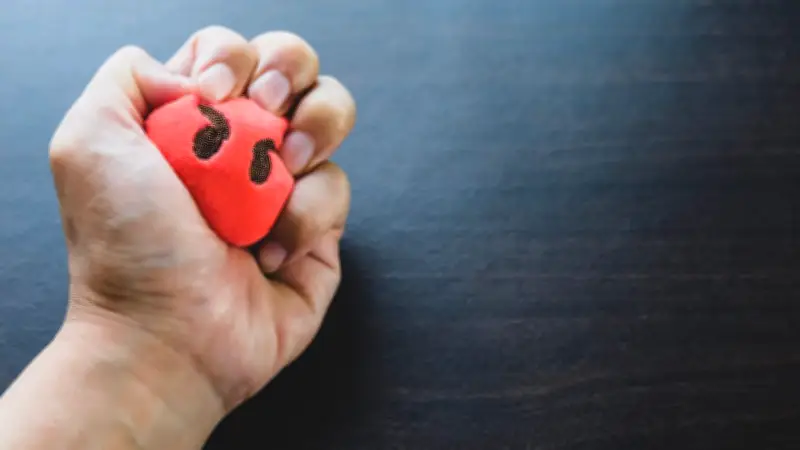 Emotionen als Navigationssystem: So trainieren Sie Ihr Gefühlsleben effektiv