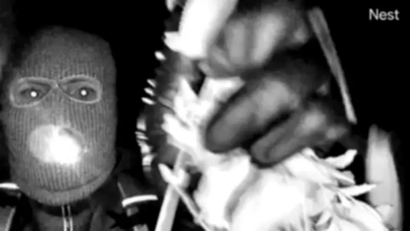 Entführungsfall Nancy Guthrie: FBI veröffentlicht beklemmende Überwachungsaufnahmen